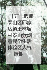五一假期泰山区邱家店镇王林坡村泰山炊烟巷民俗生活体验区人气爆棚