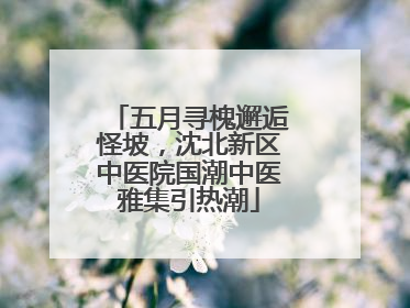 五月寻槐邂逅怪坡，沈北新区中医院国潮中医雅集引热潮