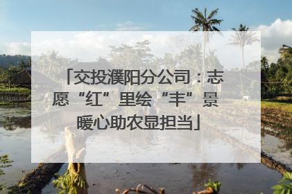 交投濮阳分公司：志愿“红”里绘“丰”景 暖心助农显担当