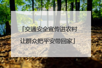 交通安全宣传进农村 让群众把平安带回家