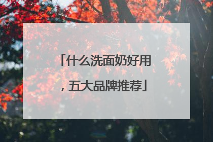 什么洗面奶好用，五大品牌推荐