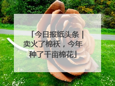 今日报纸头条｜卖火了棉袄，今年种了千亩棉花