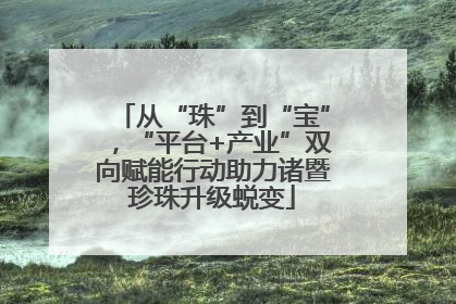 从“珠”到“宝”，“平台+产业”双向赋能行动助力诸暨珍珠升级蜕变