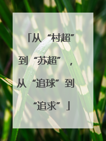 从“村超”到“苏超”，从“追球”到“追求”