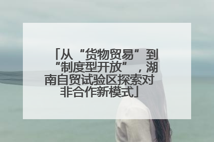 从“货物贸易”到“制度型开放”，湖南自贸试验区探索对非合作新模式