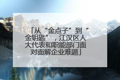从“金点子”到“金钥匙”，江汉区人大代表和职能部门面对面解企业难题
