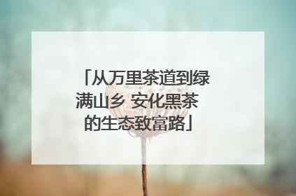 从万里茶道到绿满山乡 安化黑茶的生态致富路