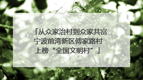 从众家治村到众家共富 宁波前湾新区傅家路村上榜“全国文明村”