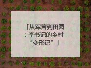 从军营到田园：李书记的乡村 “变形记”