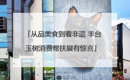 从品美食到看非遗 丰台玉树消费帮扶展有惊喜