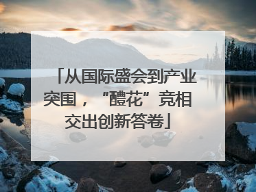 从国际盛会到产业突围，“醴花”竞相交出创新答卷