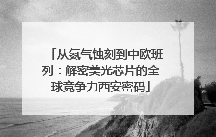 从氮气蚀刻到中欧班列：解密美光芯片的全球竞争力西安密码