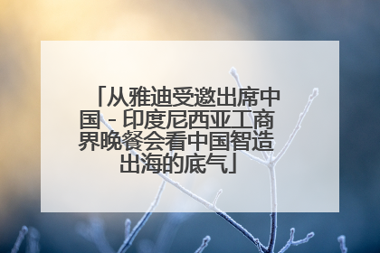 从雅迪受邀出席中国－印度尼西亚工商界晚餐会看中国智造出海的底气