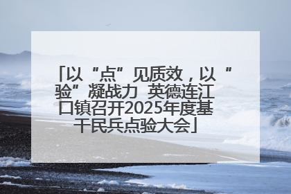 以“点”见质效，以“验”凝战力  英德连江口镇召开2025年度基干民兵点验大会