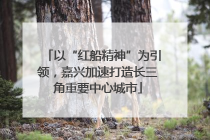 以“红船精神”为引领，嘉兴加速打造长三角重要中心城市