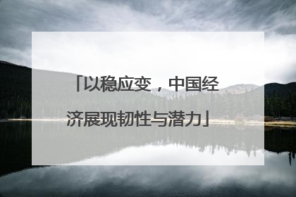 以稳应变，中国经济展现韧性与潜力