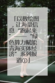 以数绘图，让海量信息“跑起来”——“绿色算力赋能青海实体经济”系列报道①