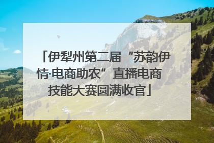 伊犁州第二届“苏韵伊情·电商助农”直播电商技能大赛圆满收官