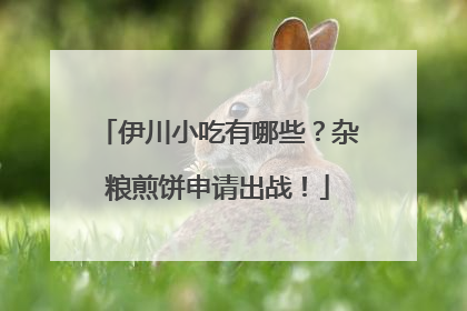 伊川小吃有哪些？杂粮煎饼申请出战！