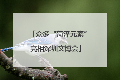 众多“菏泽元素”亮相深圳文博会