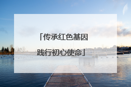 传承红色基因 践行初心使命