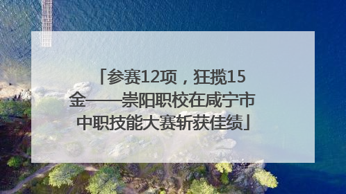 参赛12项，狂揽15金——崇阳职校在咸宁市中职技能大赛斩获佳绩