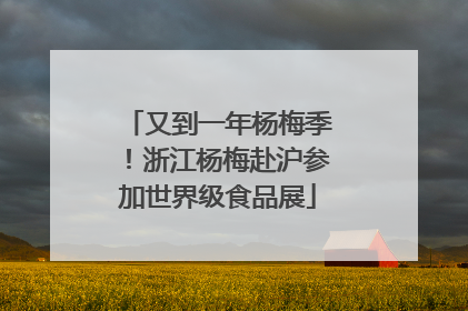 又到一年杨梅季！浙江杨梅赴沪参加世界级食品展