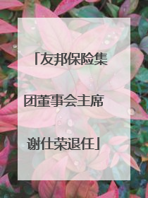 友邦保险集团董事会主席谢仕荣退任