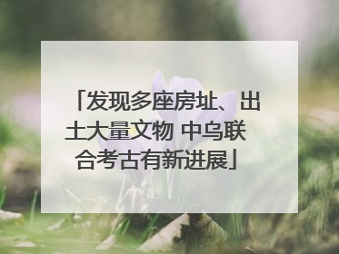 发现多座房址、出土大量文物 中乌联合考古有新进展
