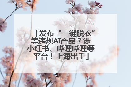 发布“一键脱衣”等违规AI产品？涉小红书、哔哩哔哩等平台！上海出手