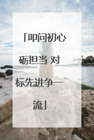 叩问初心砺担当 对标先进争一流