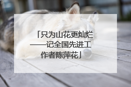 只为山花更灿烂——记全国先进工作者陈萍花