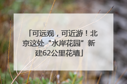 可远观，可近游！北京这处“水岸花园”新建62公里花墙