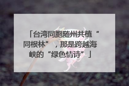 台湾同胞随州共植“同根林”，那是跨越海峡的“绿色情诗”