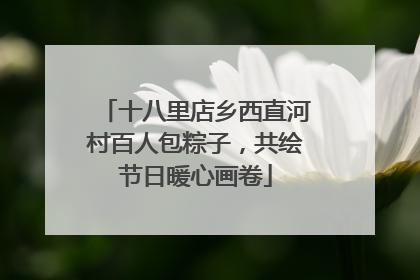 十八里店乡西直河村百人包粽子，共绘节日暖心画卷