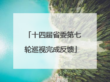 十四届省委第七轮巡视完成反馈