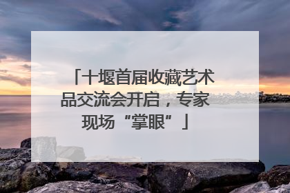 十堰首届收藏艺术品交流会开启，专家现场“掌眼”