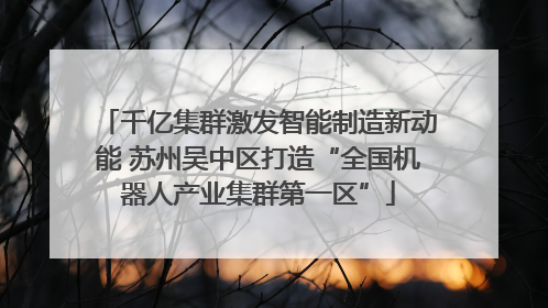 千亿集群激发智能制造新动能 苏州吴中区打造“全国机器人产业集群第一区”