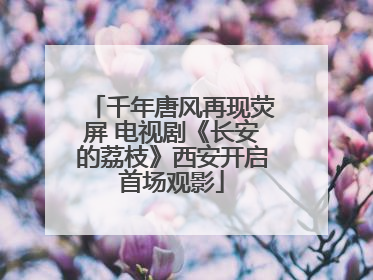 千年唐风再现荧屏 电视剧《长安的荔枝》西安开启首场观影