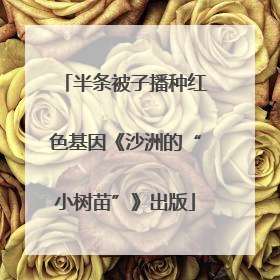 半条被子播种红色基因《沙洲的“小树苗”》出版