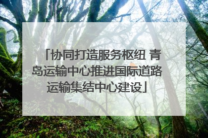 协同打造服务枢纽 青岛运输中心推进国际道路运输集结中心建设