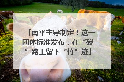 南平主导制定！这一团体标准发布，在“碳”路上留下“竹”迹