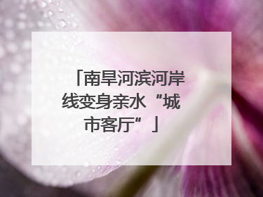 南旱河滨河岸线变身亲水“城市客厅”