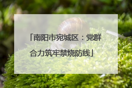 南阳市宛城区：党群合力筑牢禁烧防线
