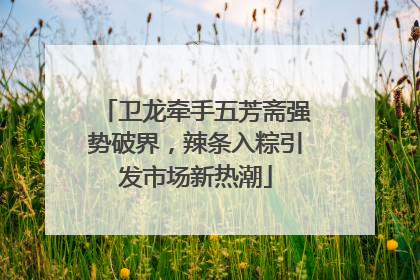 卫龙牵手五芳斋强势破界，辣条入粽引发市场新热潮