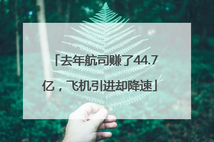 去年航司赚了44.7亿，飞机引进却降速
