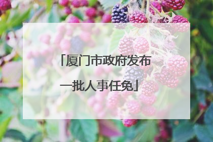 厦门市政府发布一批人事任免