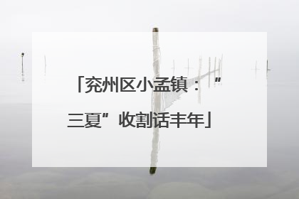 兖州区小孟镇：“三夏”收割话丰年