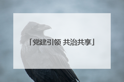 党建引领 共治共享