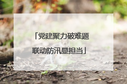 党建聚力破难题 联动防汛显担当